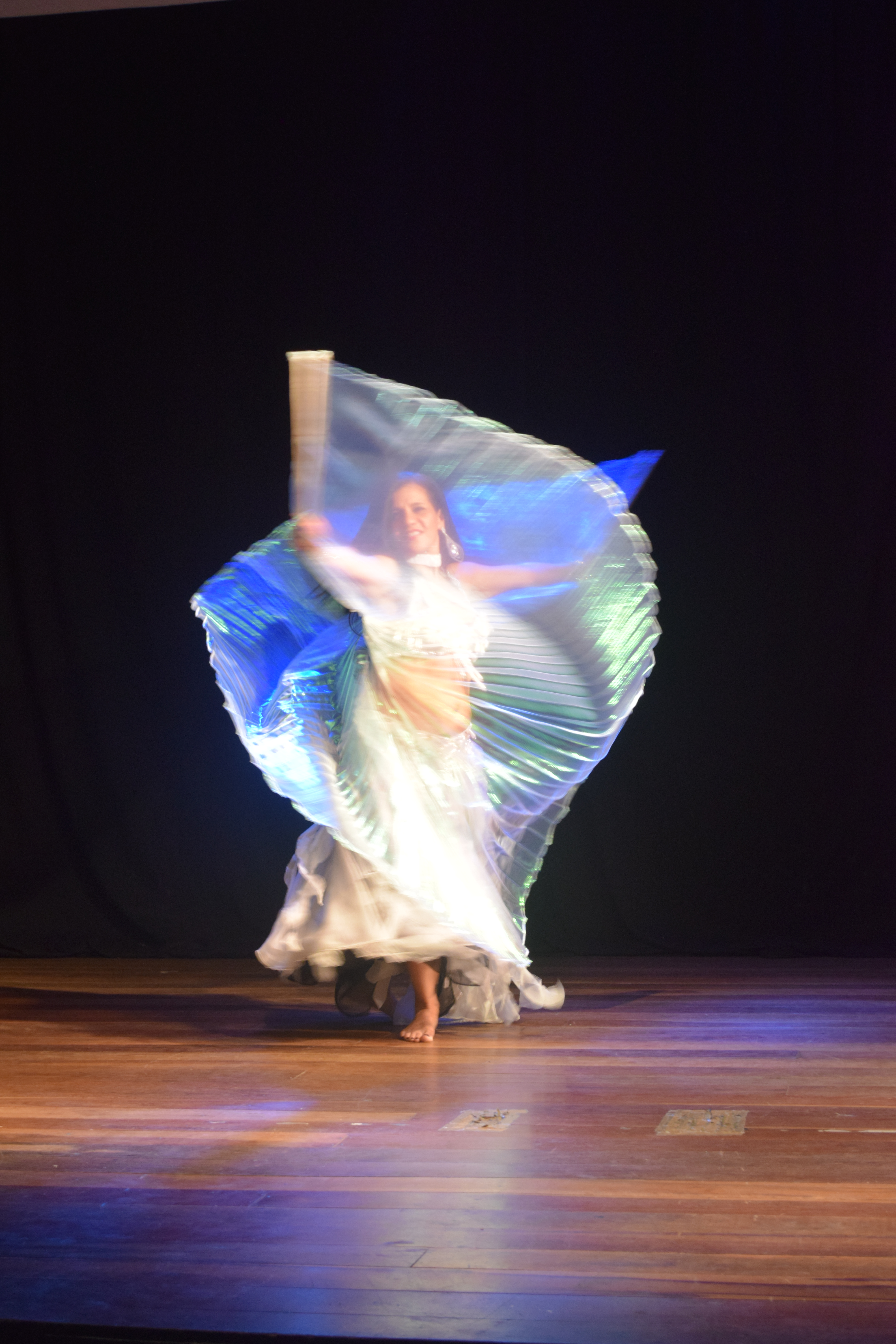 Dança do ventre on-line, dá para aprender assim?